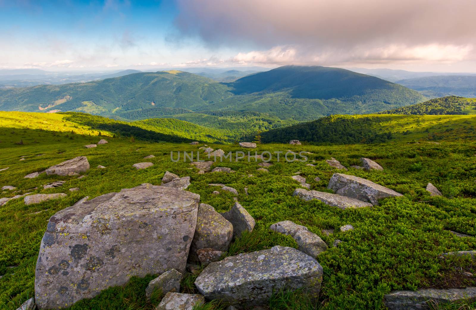 grassy hillside with boulders in summer. forested mountain in the distance. beautiful landscape in the morning