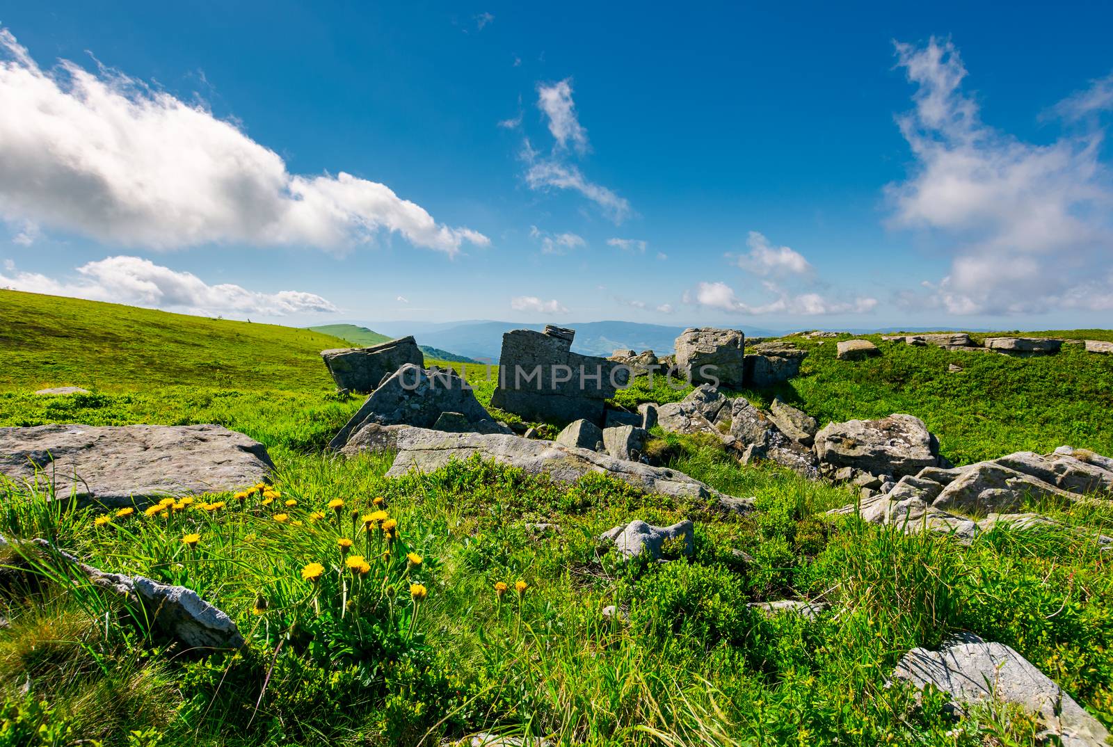 boulder and dandelions in summer landscape by Pellinni