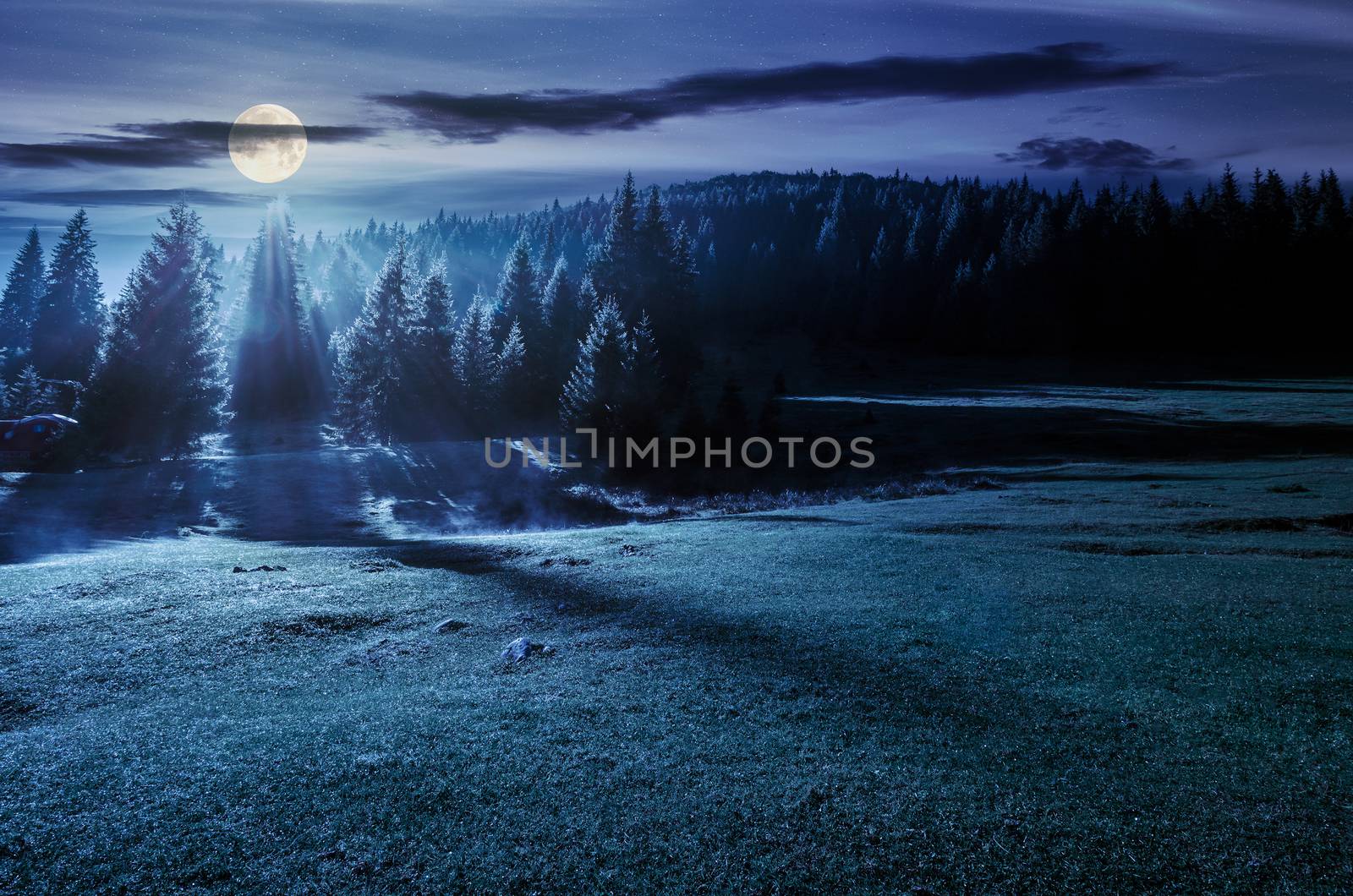 forest on grassy meadow at foggy night in full moon light. lovely nature scenery with forested hill in the distance