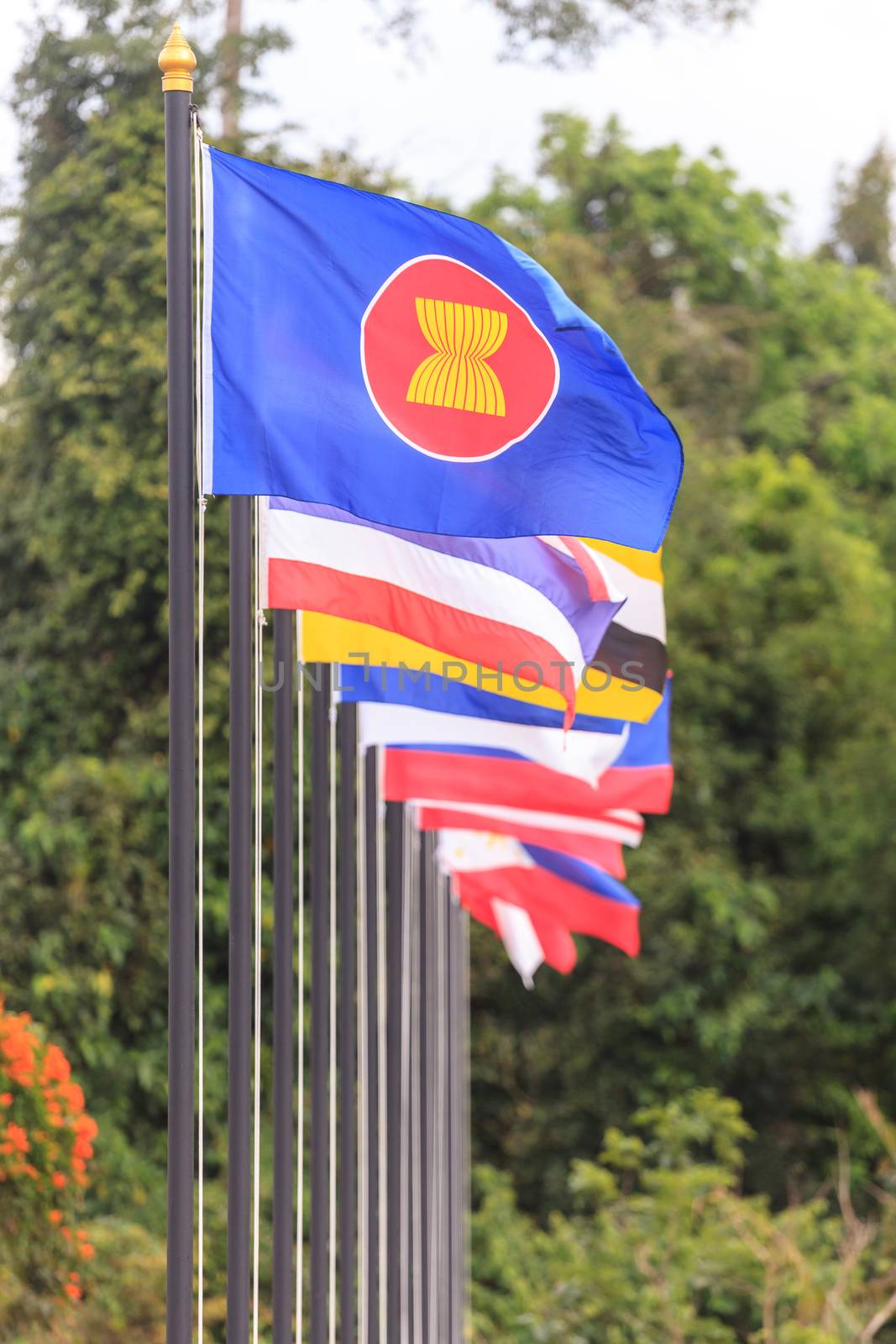 ASEAN Economic Community flags, southeast asia countries