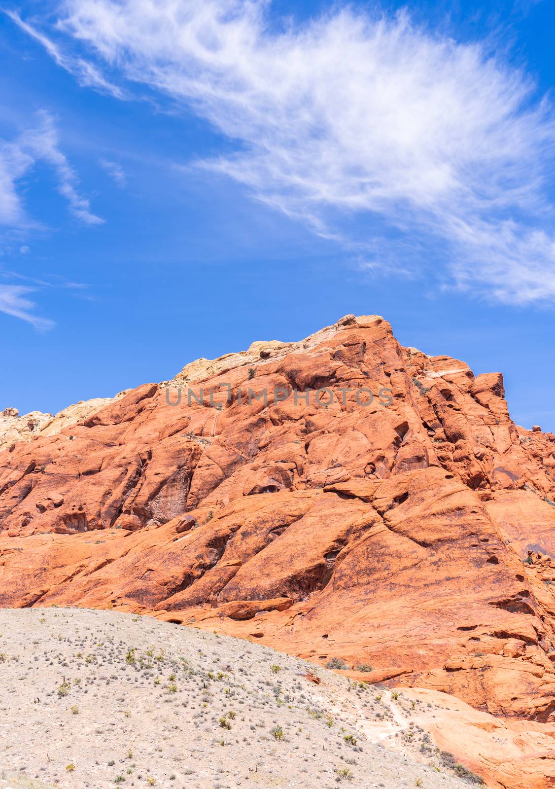 Red Rock Canyon National Conservation Area in Las Vegas Nevada USA Panorama