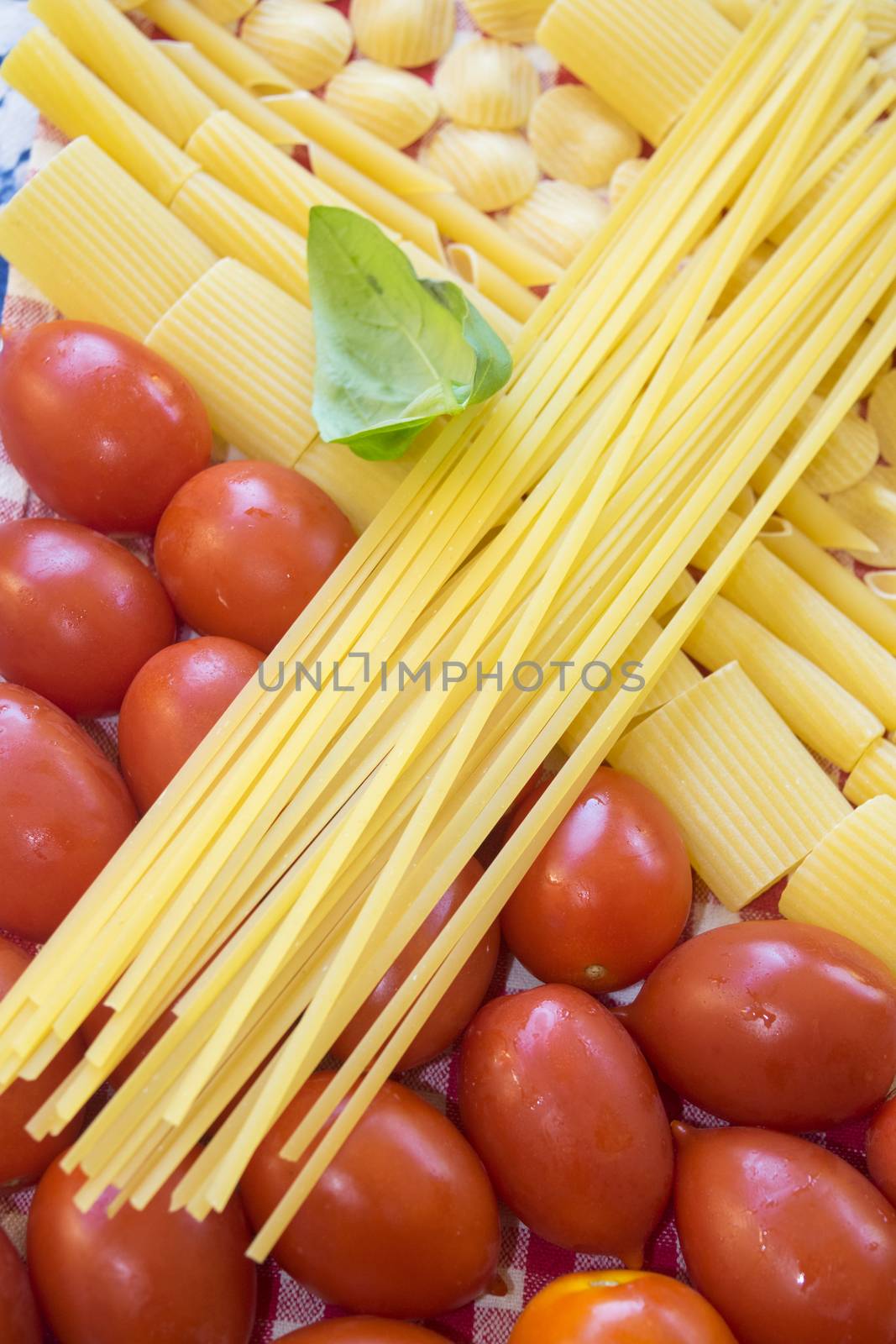 raw assorted pasta with fresh tomatoes and basil