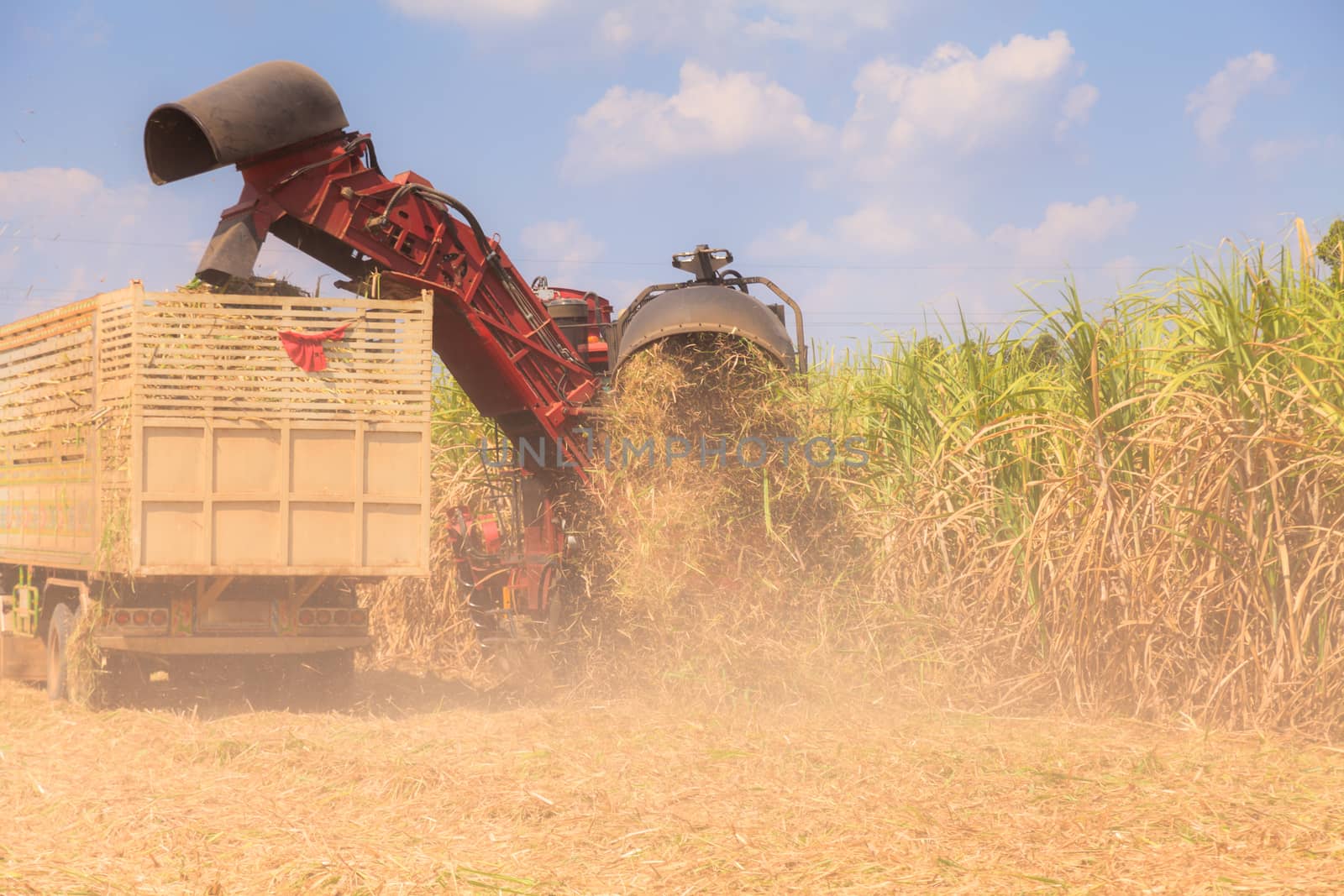 Sugarcane harvester machine