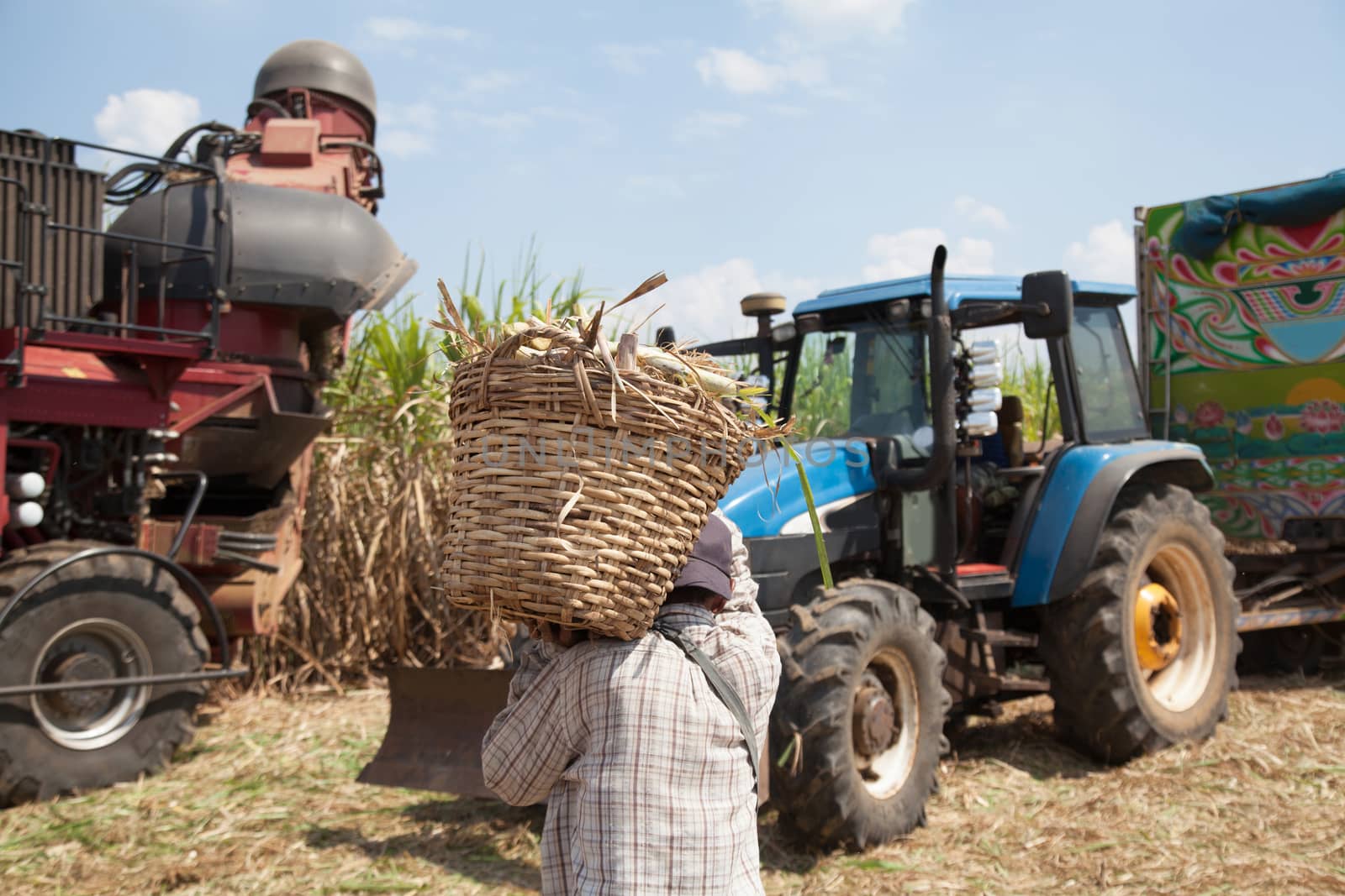 Sugarcane Workers and Sugarcane harvester machine