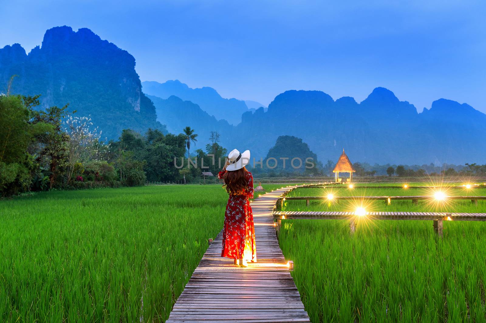 Young woman walking on wooden path with green rice field in Vang Vieng, Laos. by gutarphotoghaphy