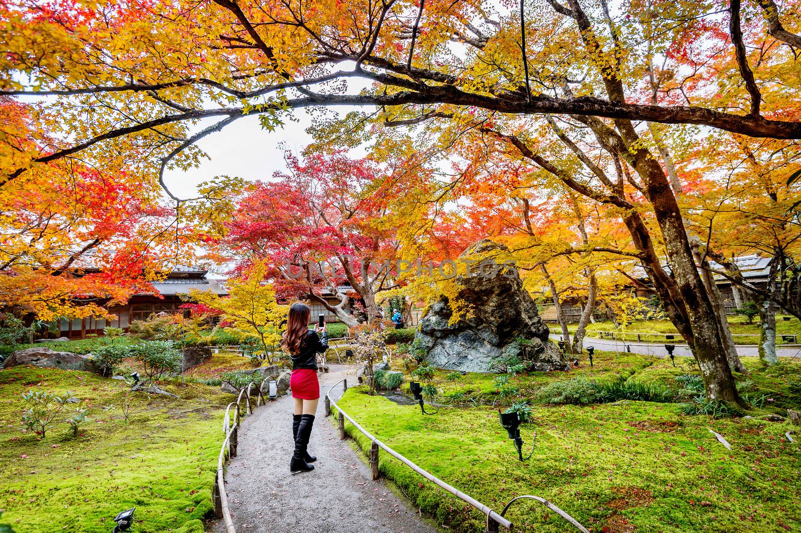 Young woman take a photo in autumn park. Colorful leaves in autumn, Kyoto in Japan.