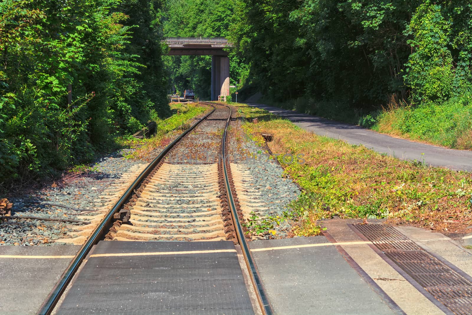 Old railway winding through a forest