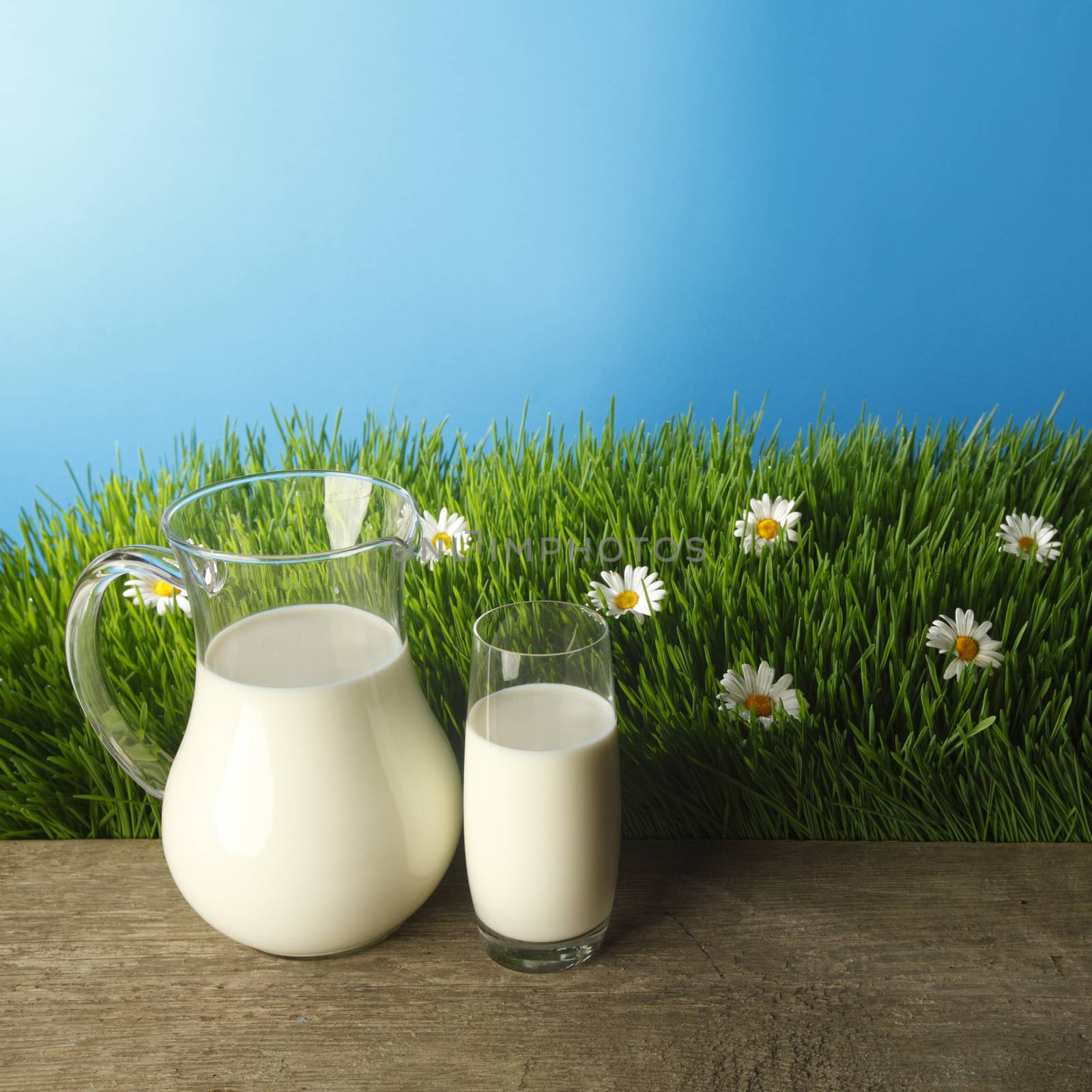 Milk in jar and glass on fresh grass meadow with chamomiles