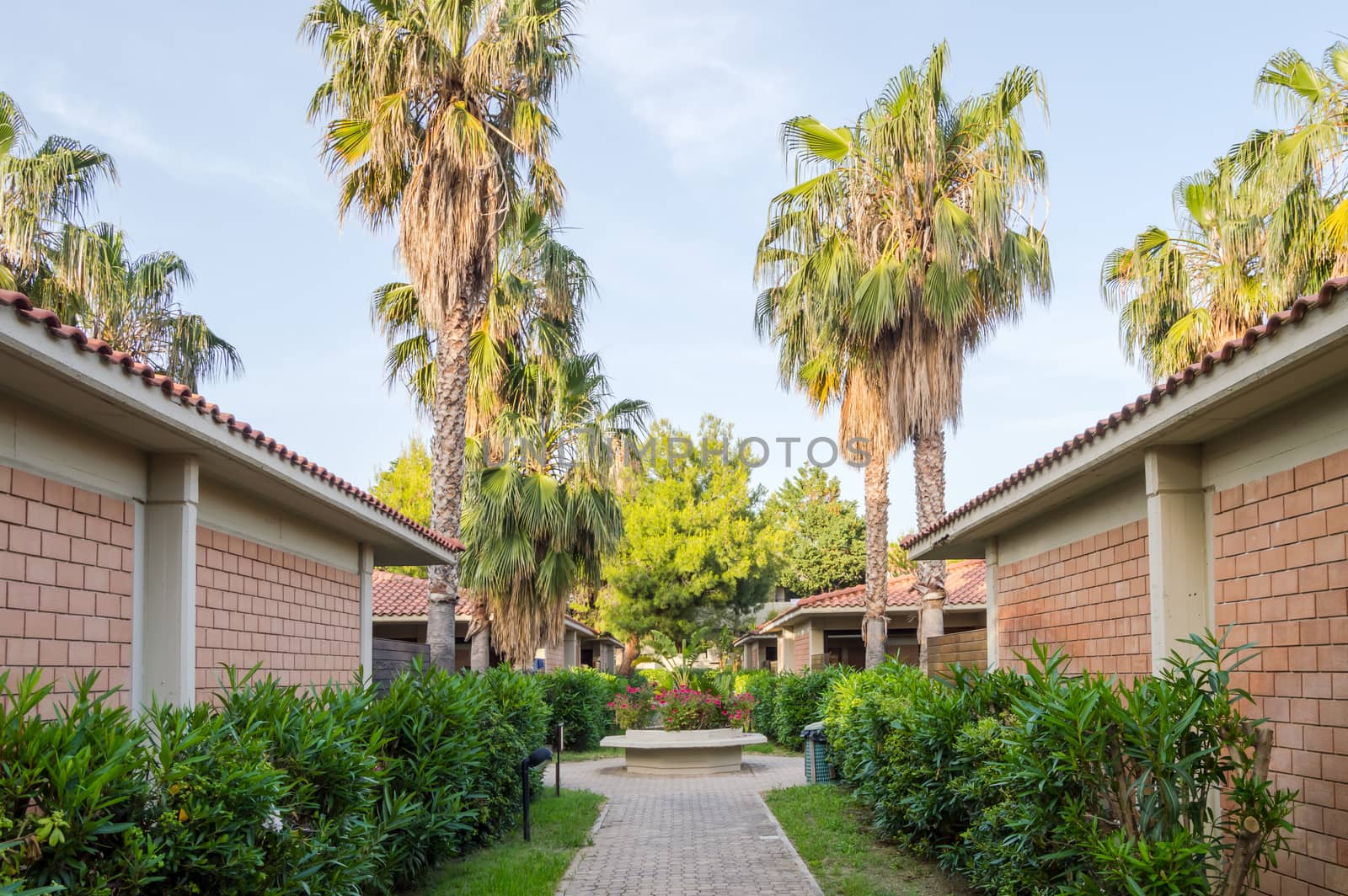 Bungalows lined with palm trees of Campofelice di Roccella in northern Sicily in Italy