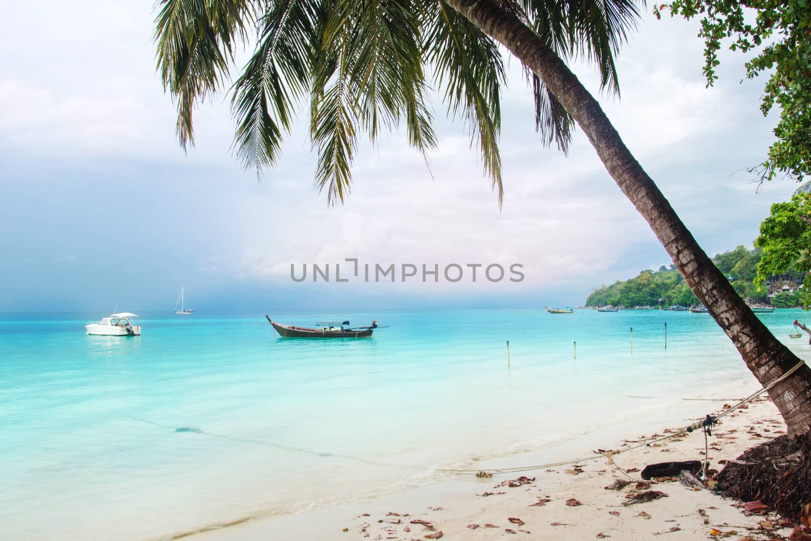 Landscape With Coconut Palms And Boat In Blue Sea Southern Of Thailand, Lipe Island, Krabi.