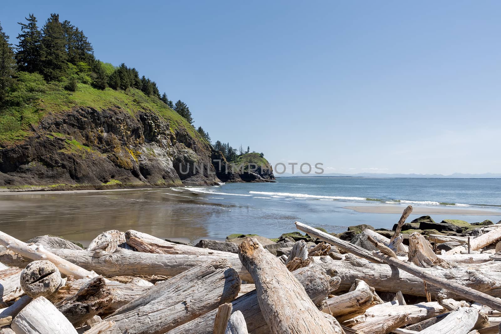 Driftwood at Waikiki Beach by Lighthouse at Cape Disappointment State Park in Washington State
