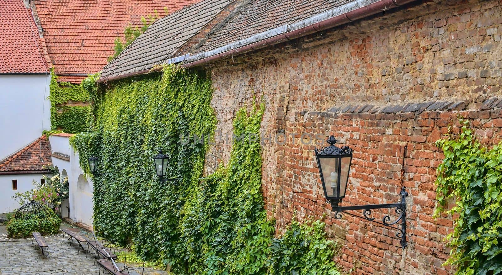 Ivy on red brick wall. Old fashioned urban lighting on red wall. Historical urban backyard by roman_nerud