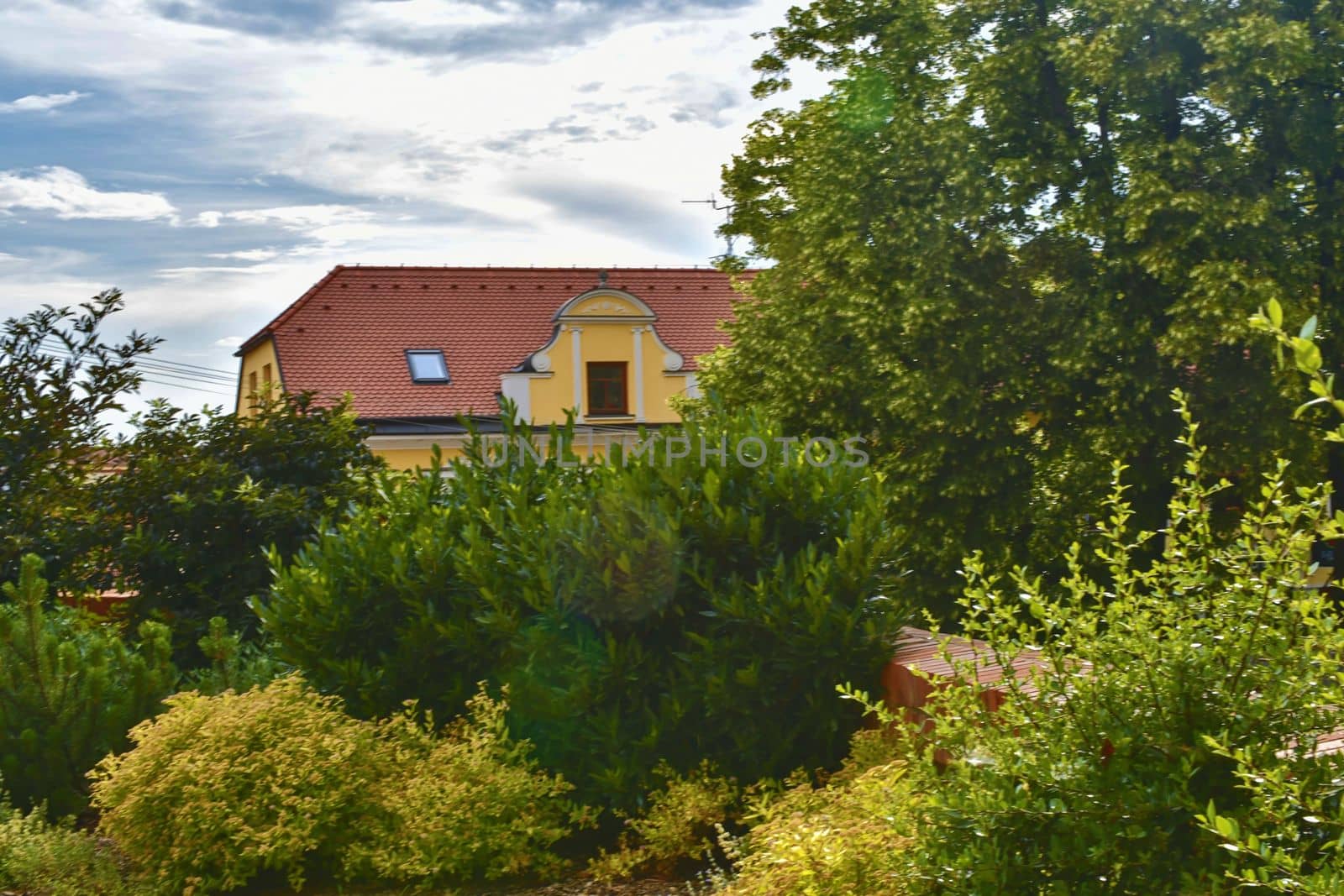 Urban historic background. Soft colors. Flowers and building on background. Selective focus by roman_nerud