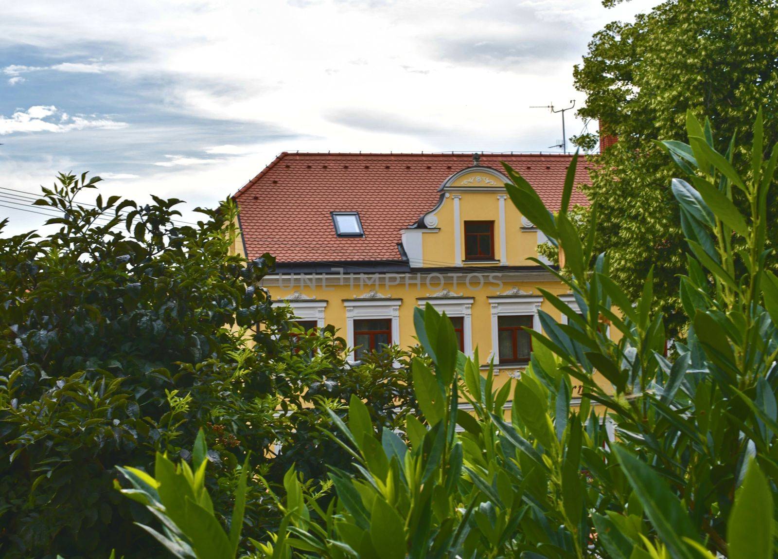 Urban historic background. Soft colors. Flowers and building on background. Selective focus by roman_nerud