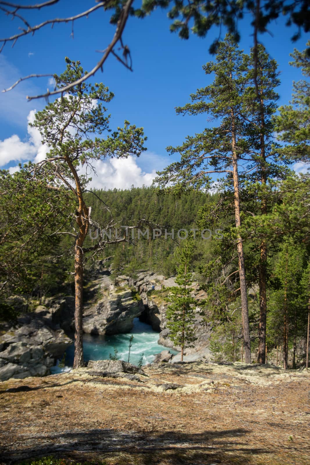 Mountain river in Norway summer trip by javax