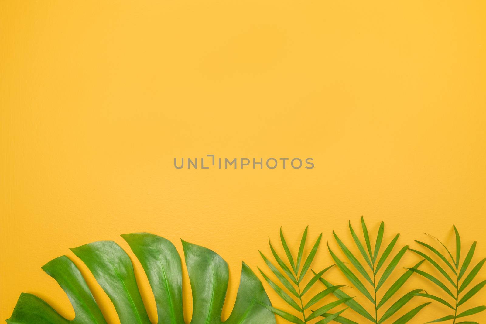 Palm tree leaves on vibrant yellow background by anikasalsera