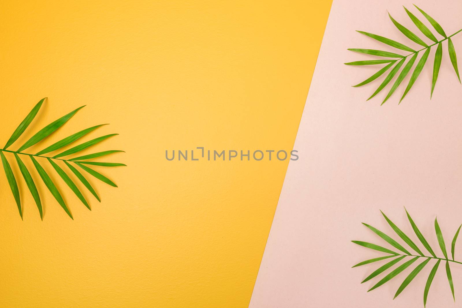 Palm tree leaves on pink and yellow background by anikasalsera