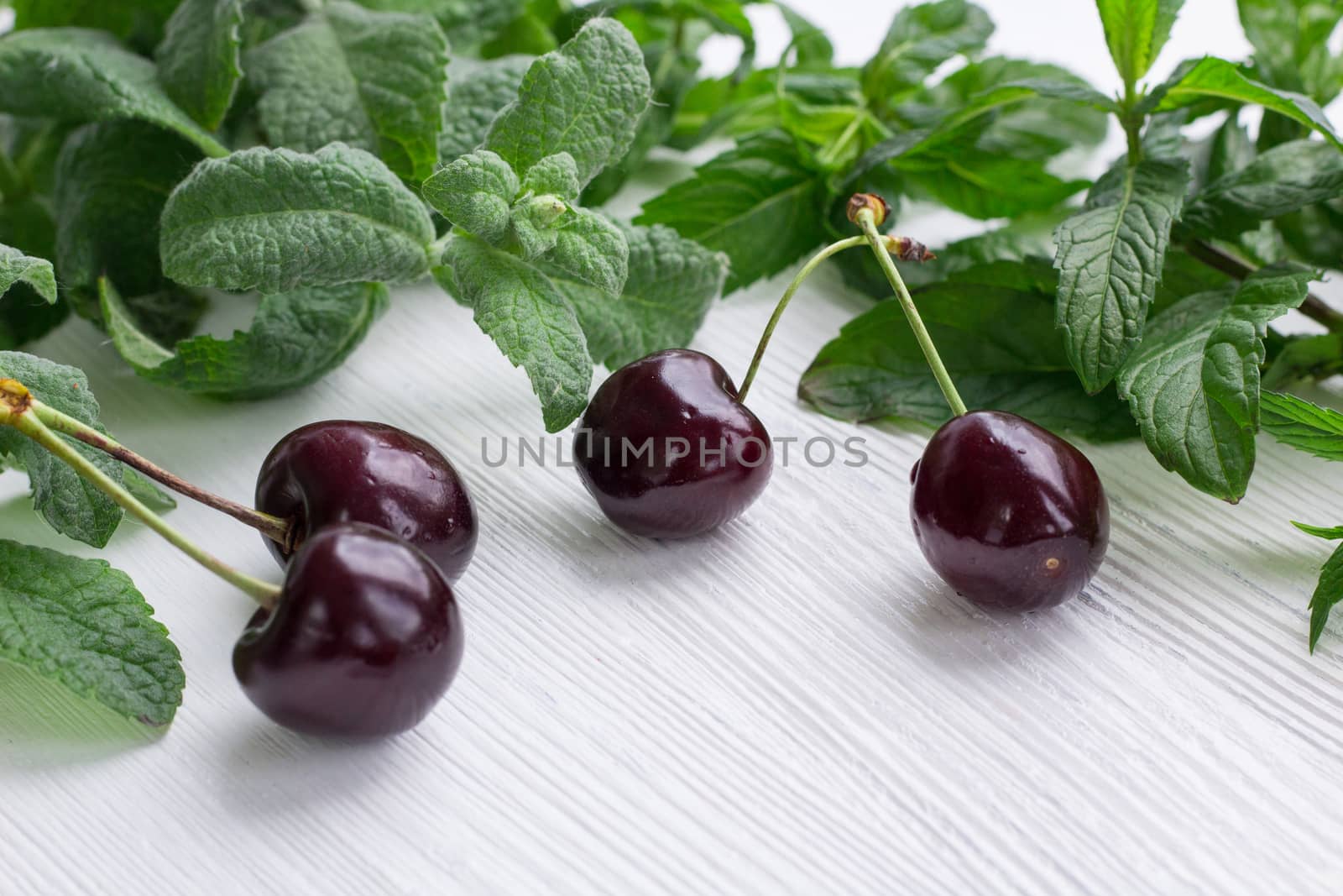 Vinous red cherries with green herbal mix of fresh mint and melissa herbs on white wooden background
