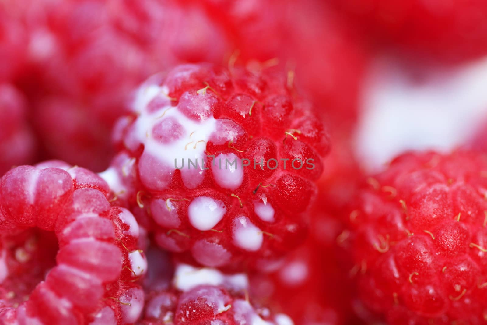 A background of ripe red raspberry with milk