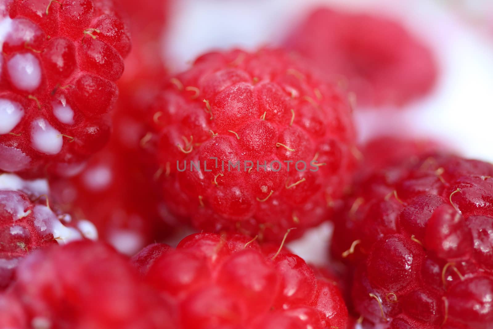 A background of ripe red raspberry with milk