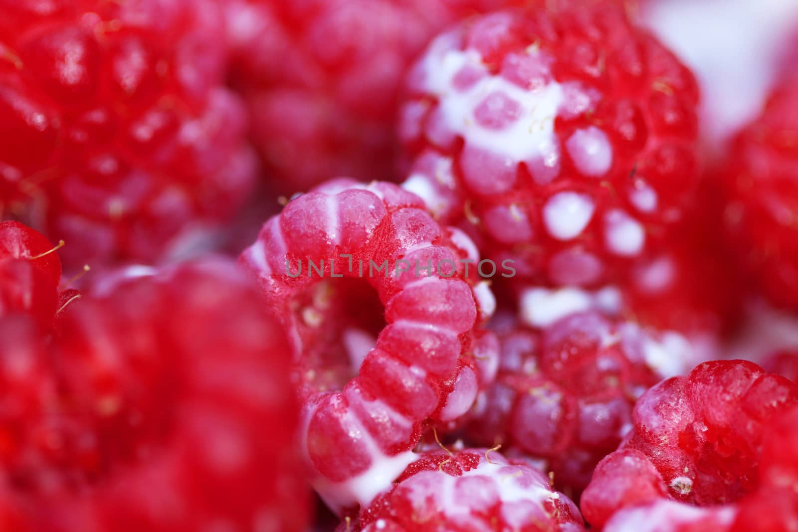 A background of ripe red raspberry with milk