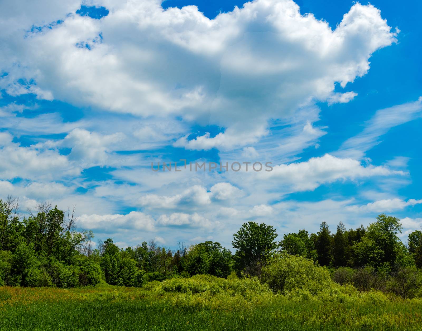 On a warm summer day, white clouds float over a green, uneven field