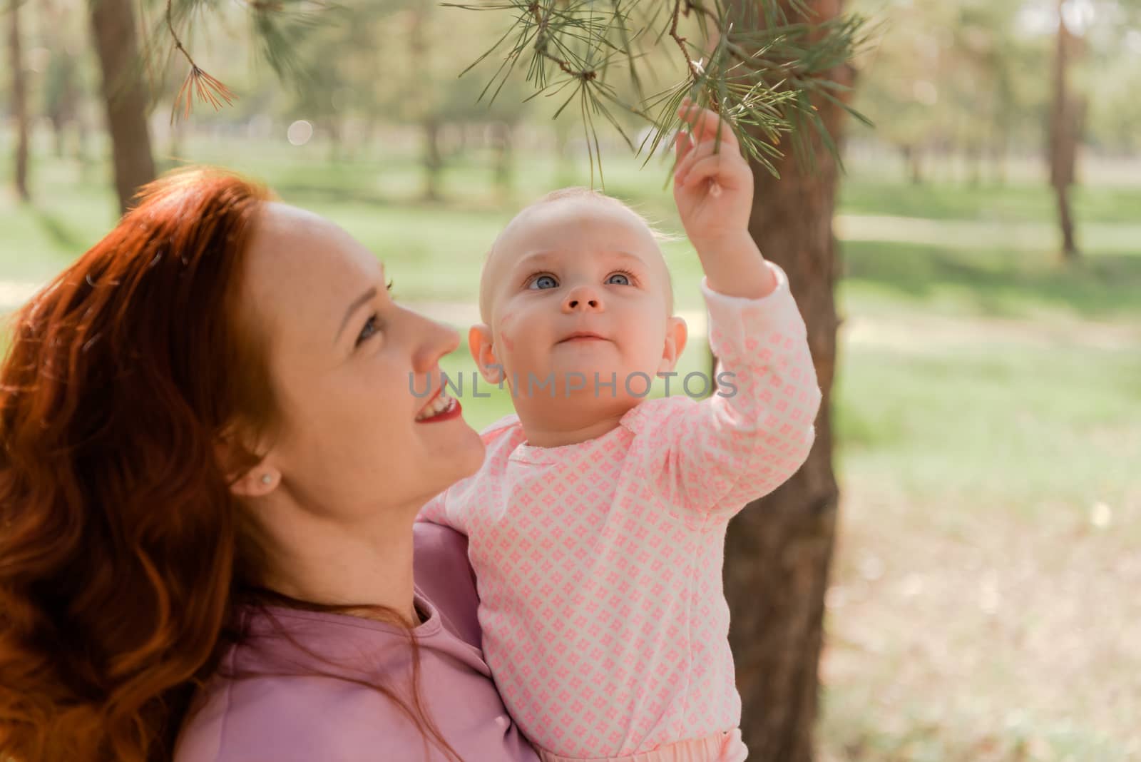 in the Park mom shows her daughter fir branches by malishpsih