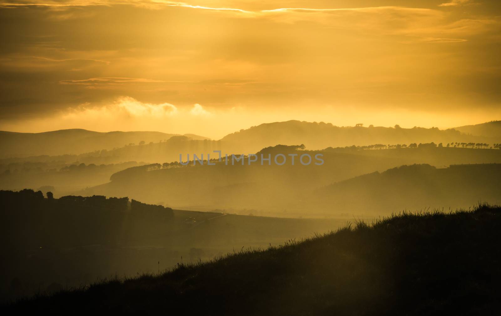 Beautiful Magic Hour Light Over Misty Rolling Hills