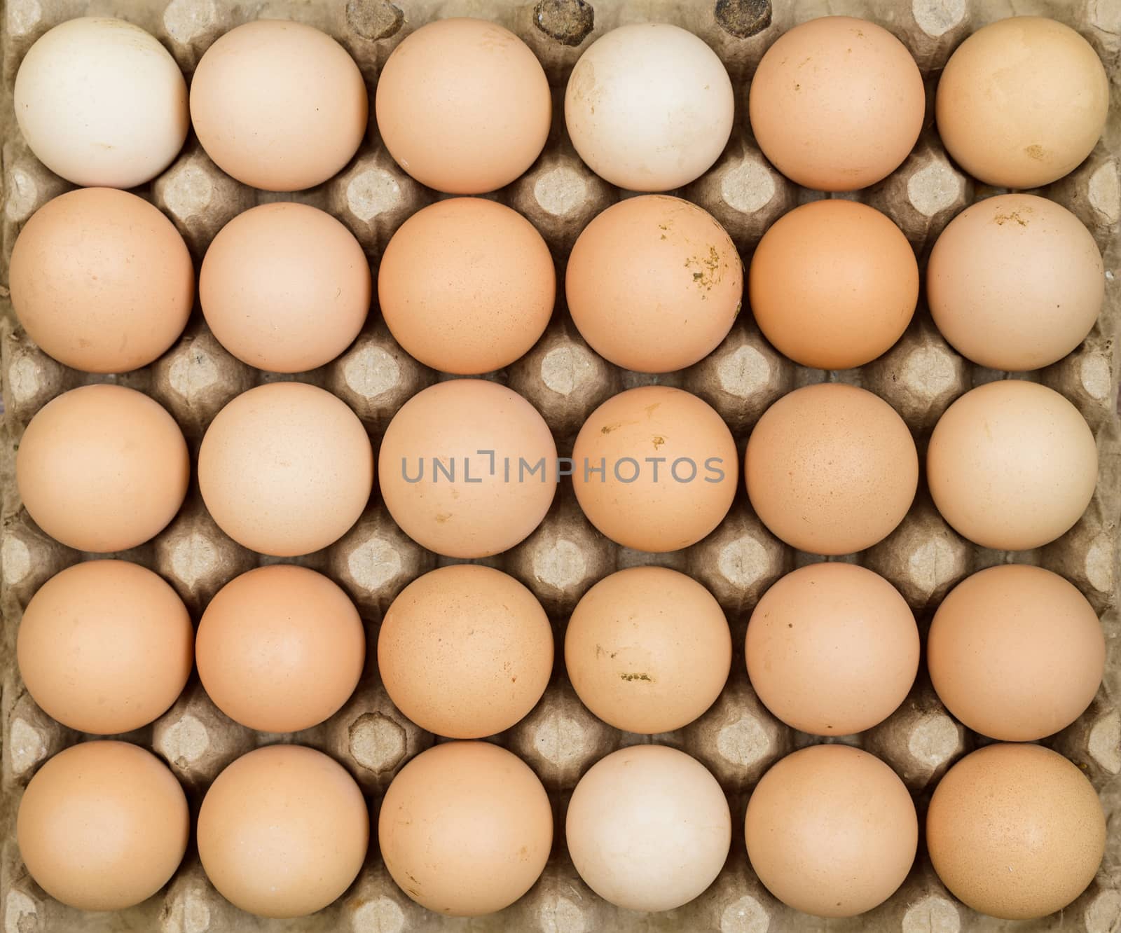 Overhead view of free range organic chicken eggs in tray. Some eggs are dirty.