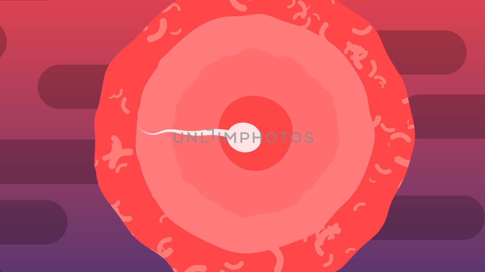 A cheery 3d illustration of a snappy white spermatozoid breaking through to the big red egg cell in the violet and purple background with black tubes. It looks like a champion.