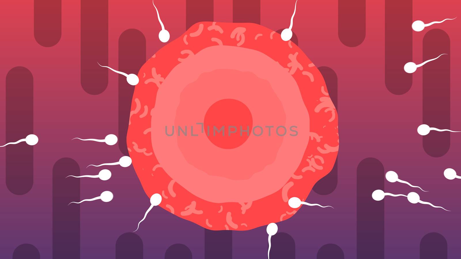 An optimistic 3d illustration of competing white spermatozoids encircling big red ovum from all sides in the violet and purple background. Two of them win and turn into a champs.