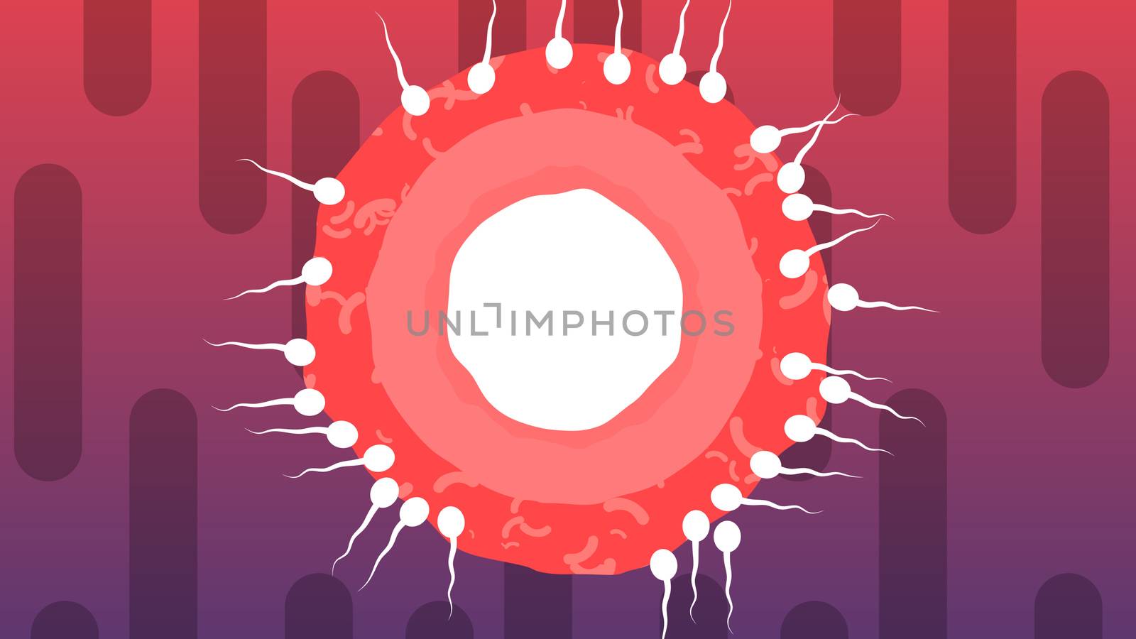 A hilarious 3d illustration of rival white spermatozoids encircling big red ovum from all sides in the violet and purple background. One of them grows big in the center.