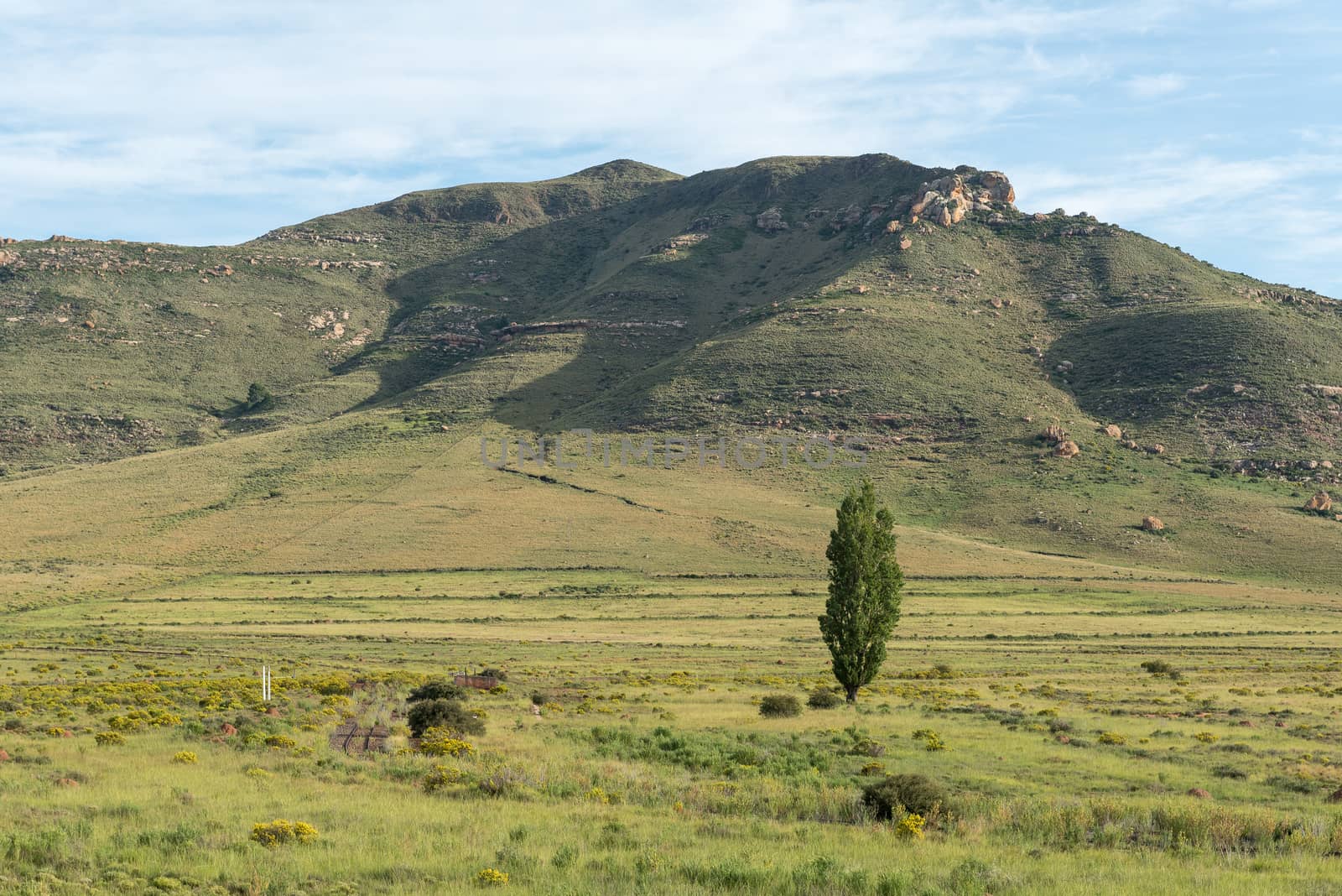 The first railway reverse at the Melk (milk) railway station near Lady Grey in the Eastern Cape Province of South Africa