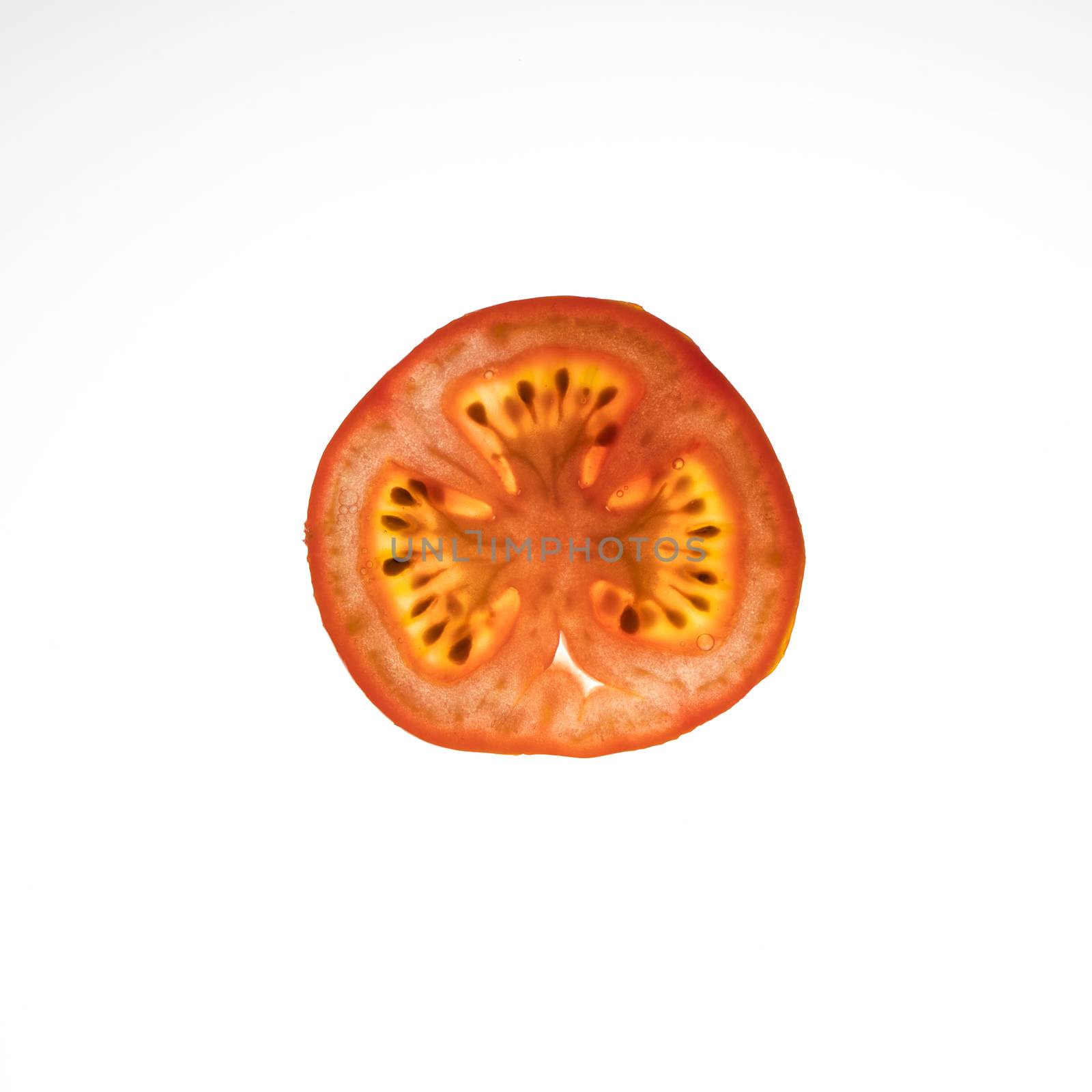 tomato slice lit from the back