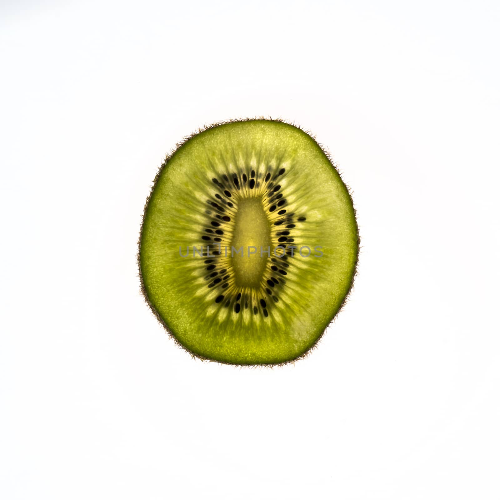 kiwi slice lit from the back