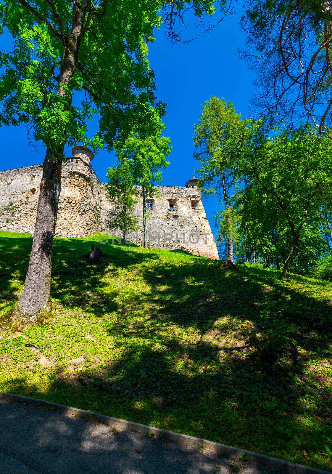 Stara Lubovna Castle of Slovakia on the hillside. beautiful medieval architecture. popular tourist attraction. lovely summer scenery