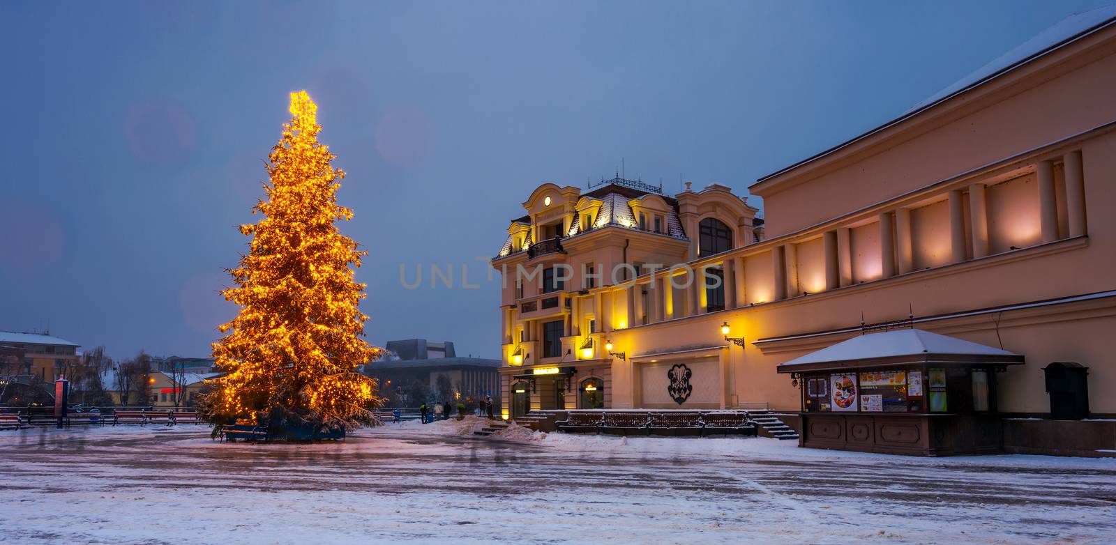 Christmas tree in the city center by Pellinni