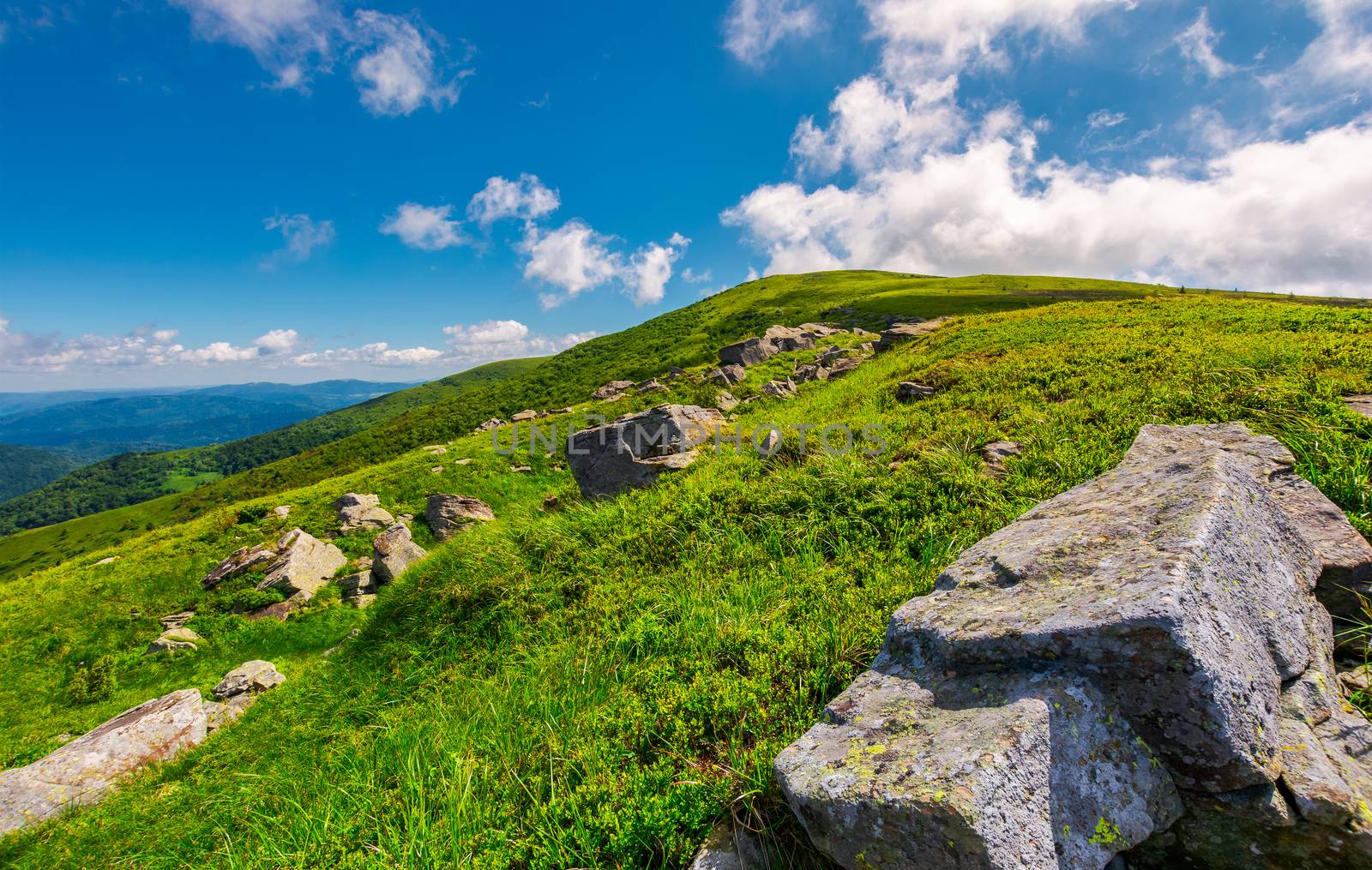 lovely summer landscape by Pellinni