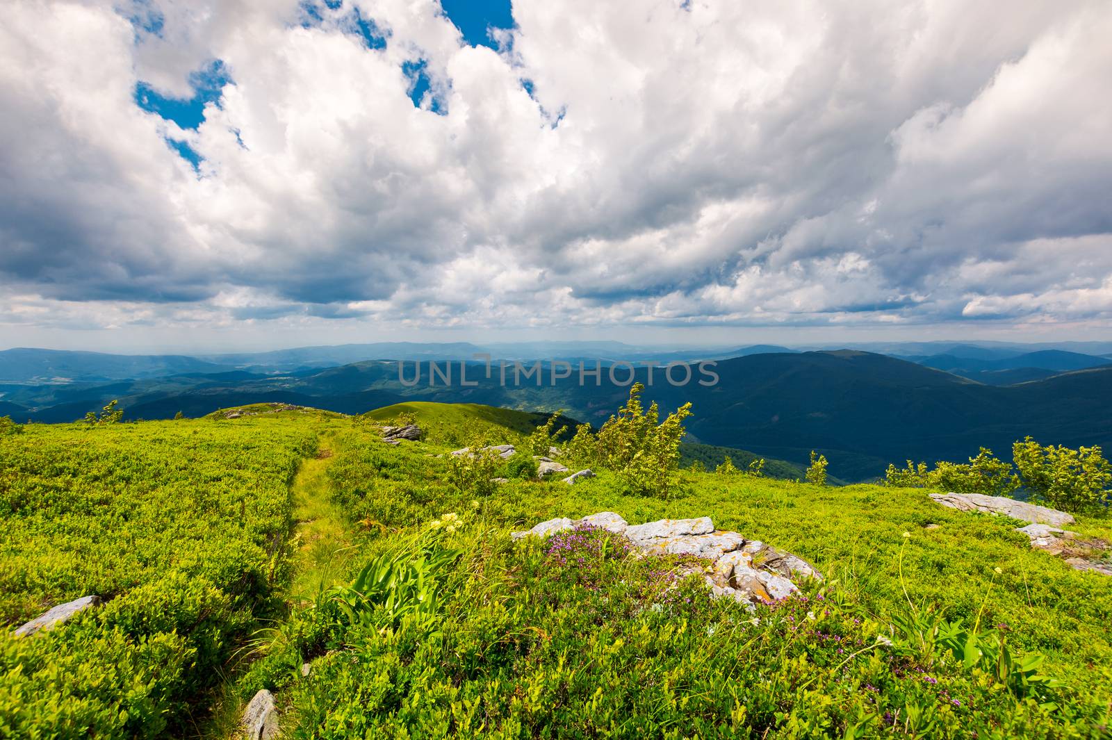 path along the grassy slope on top of a mountain by Pellinni