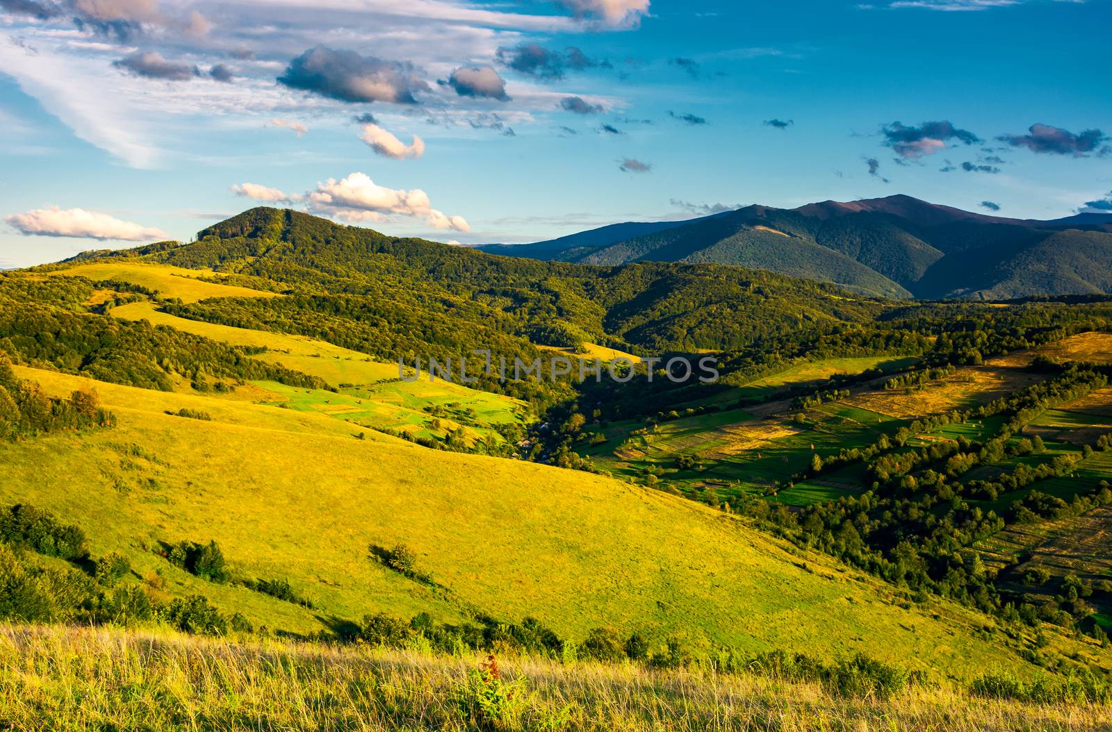 grassy hillsides in high mountains in afternoon. beautiful summer landscape with Borzhava mountain ridge in the distance