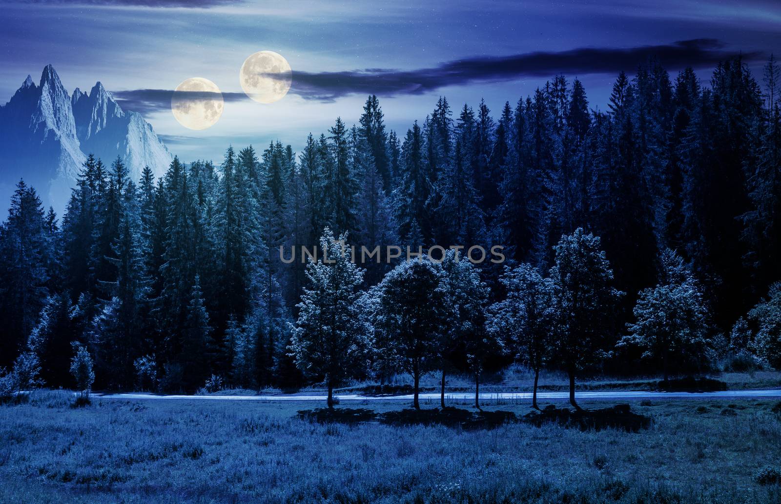 double moon over the forested landscape at night by Pellinni