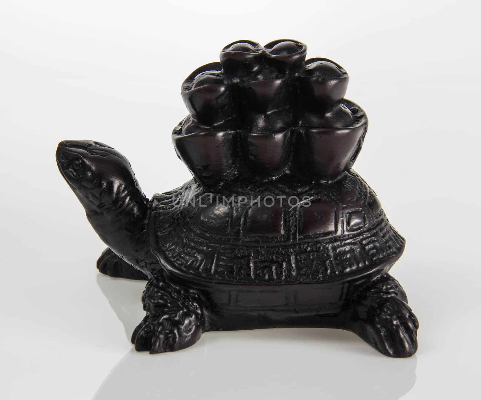 Feng Shui  Turtle carrying money