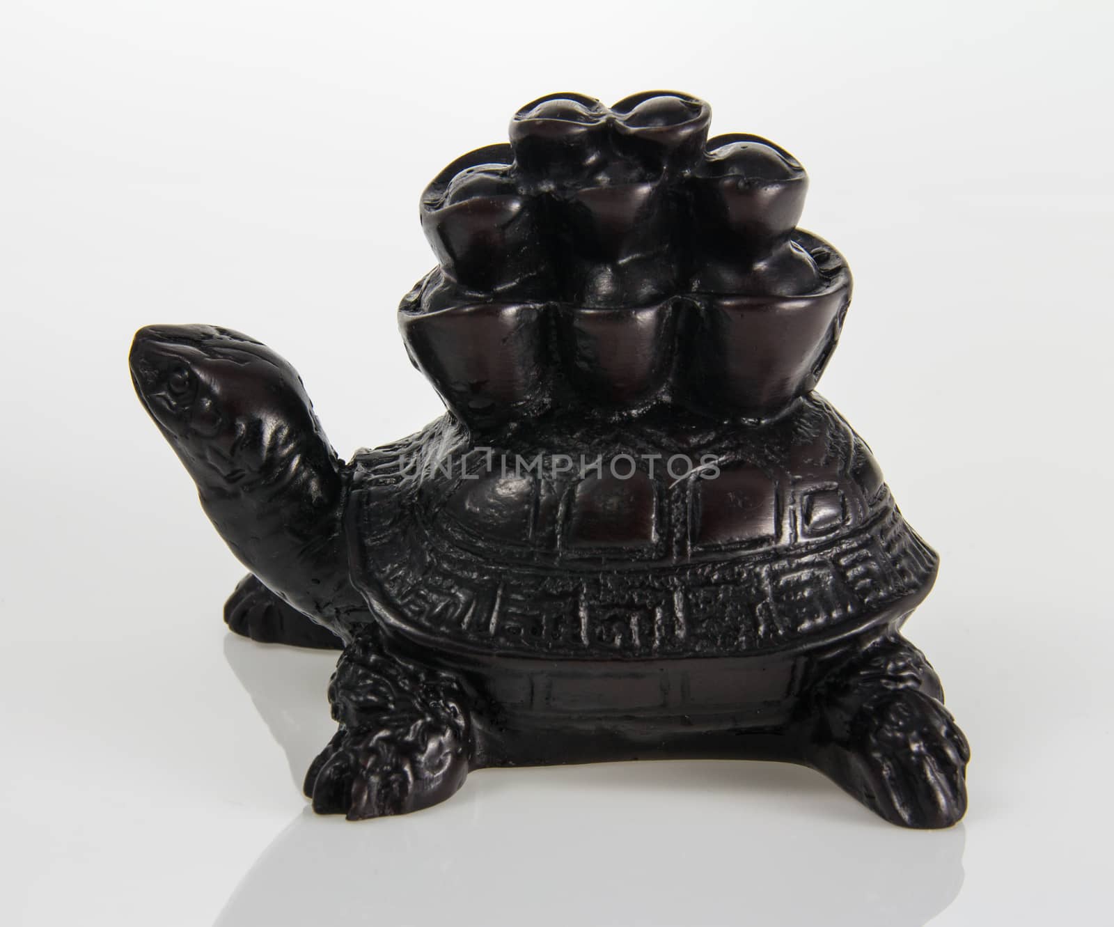 Feng Shui  Turtle by peerapixs