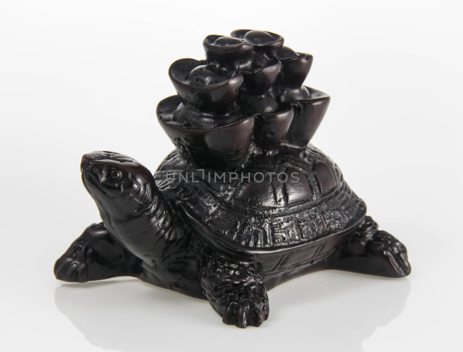 Feng Shui  Turtle by peerapixs