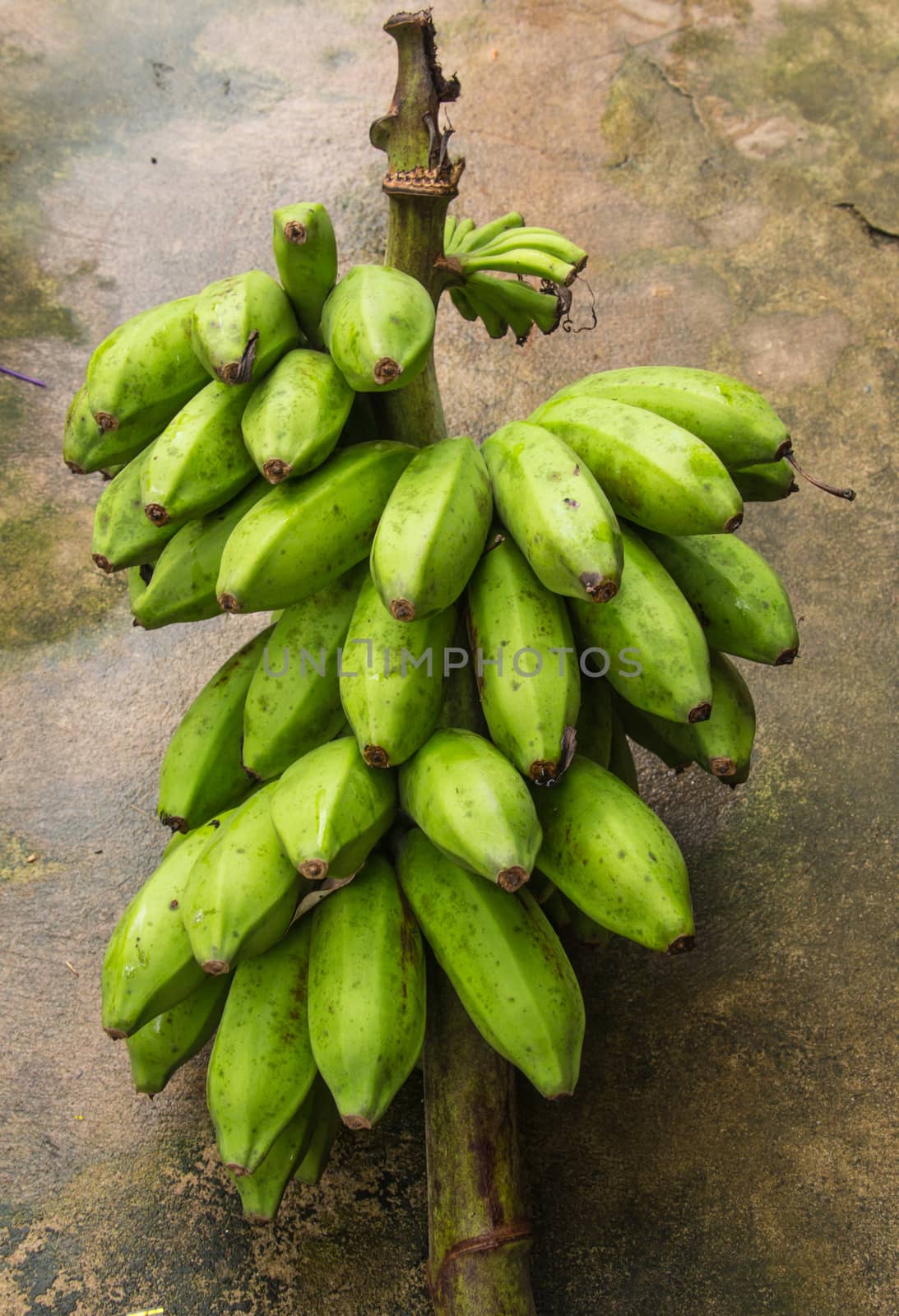 Bunch of fresh green bananas by peerapixs