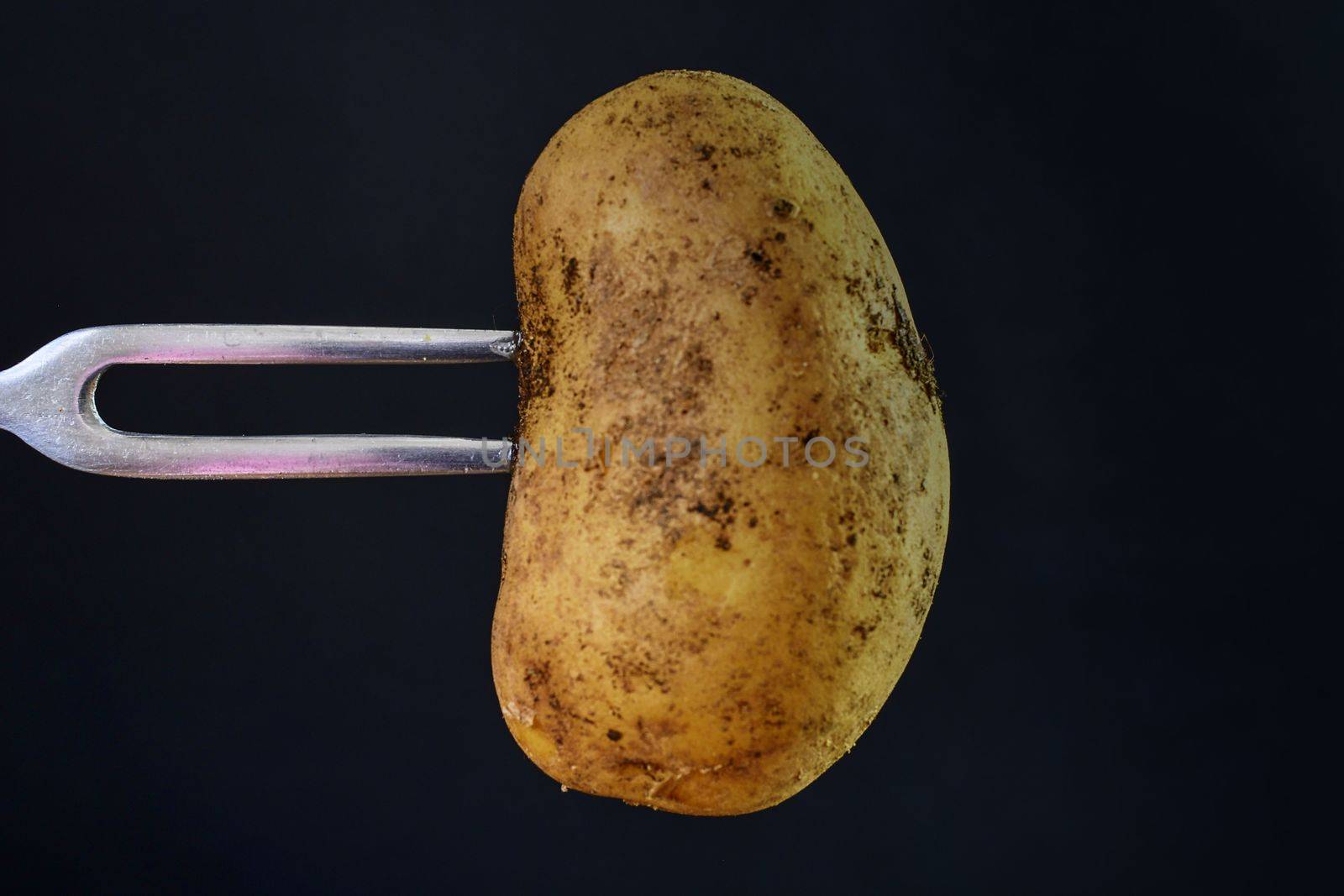 Potato on black background. Potato and fork. Close-up. Cuisine concept. by roman_nerud