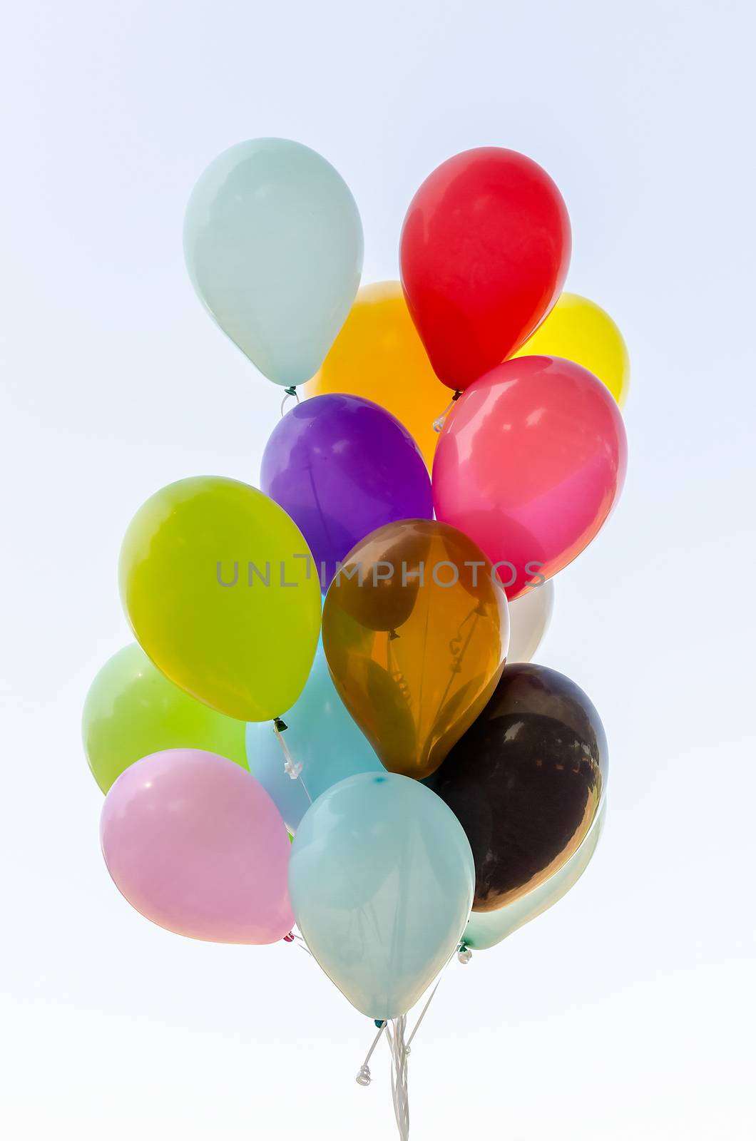 Colorful bunch of helium balloons by marcorubino