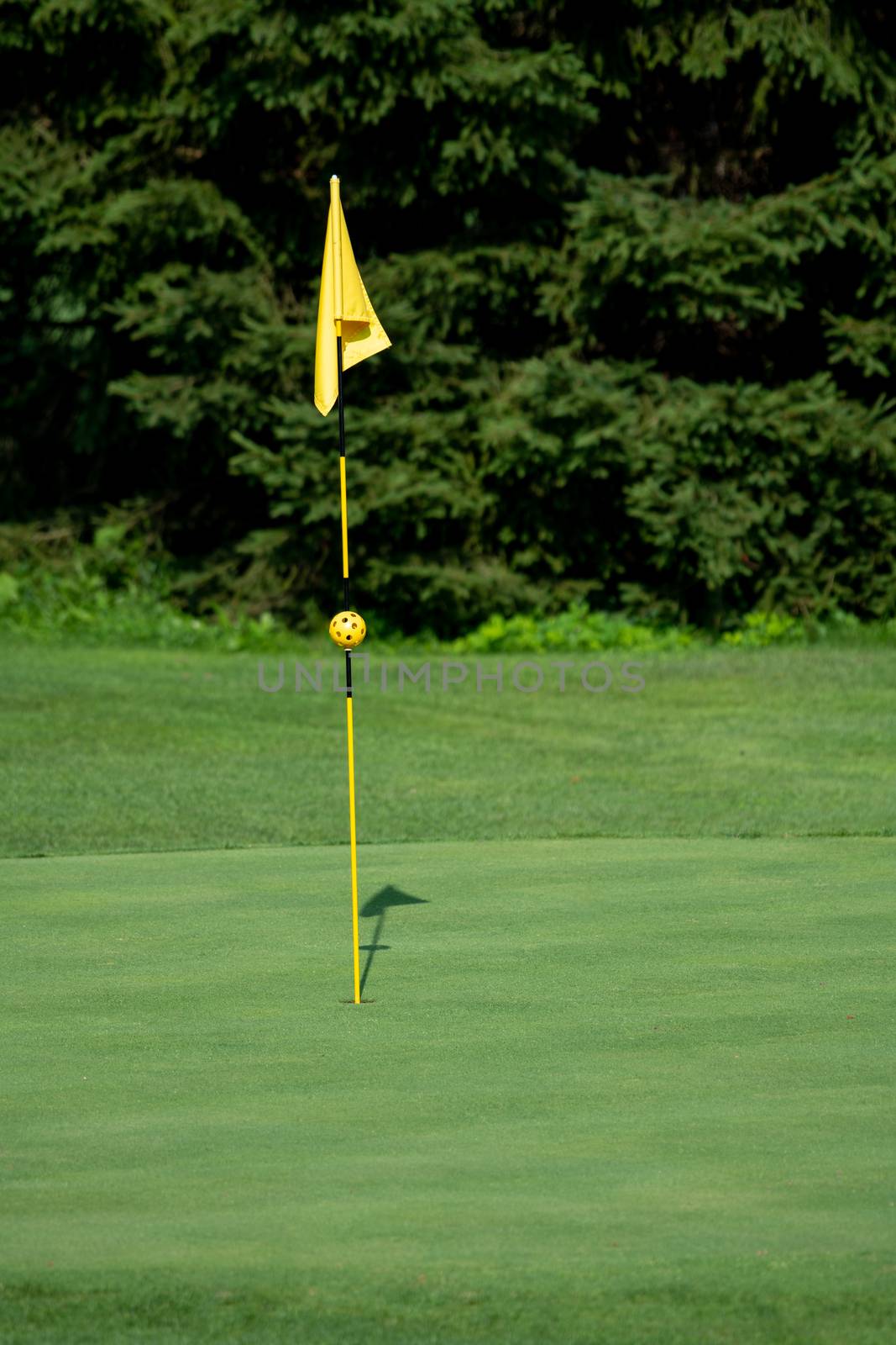 Golf Course, golf green with flag in the hole by asafaric