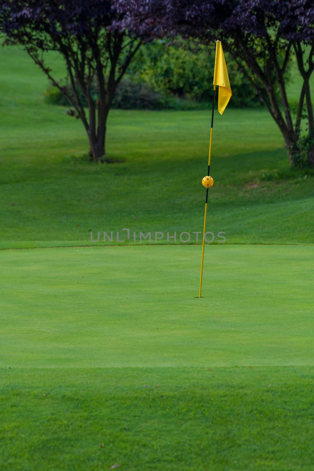 Golf Course, golf green with flag in the hole, yellow flag