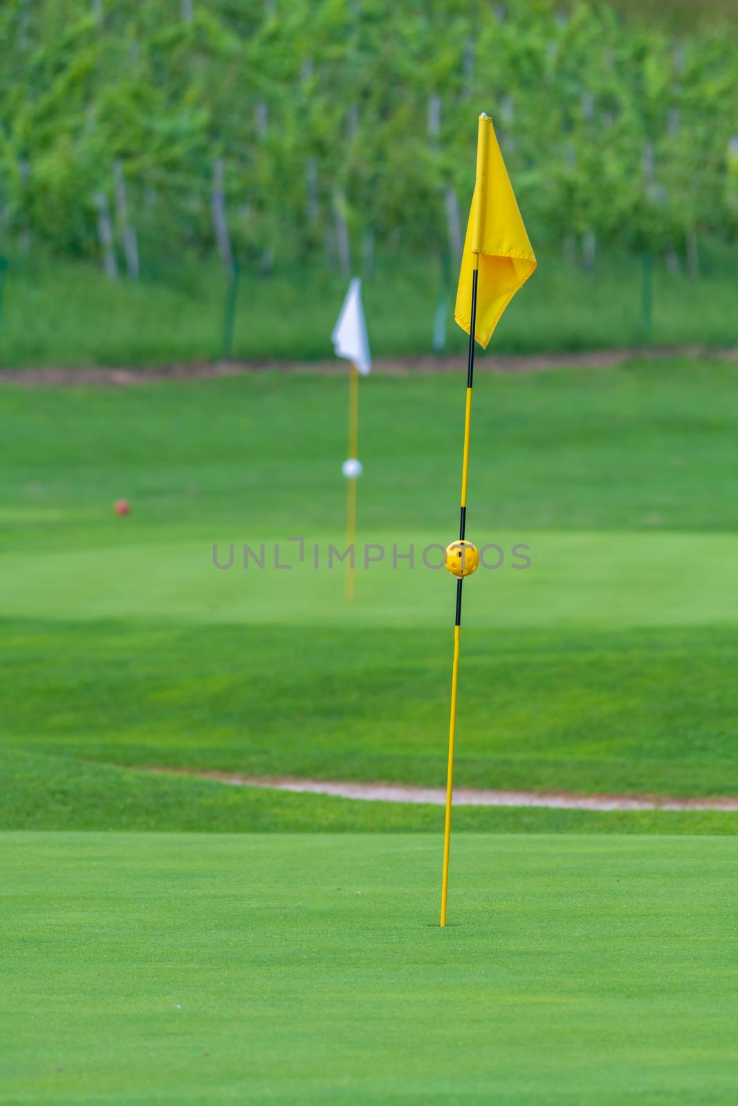 Golf Course, golf green with flag in the hole by asafaric